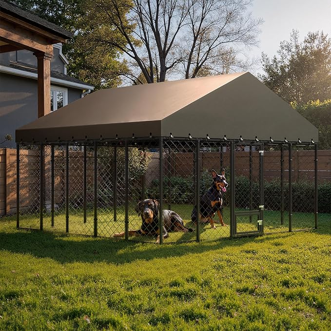 10 × 10 ft Heavy-Duty Outdoor Dog Kennel with Roof – Large Weather-Resistant Metal Dog Enclosure Playpen for Big Dogs with Double-Lock Feeding & Swivel Door
