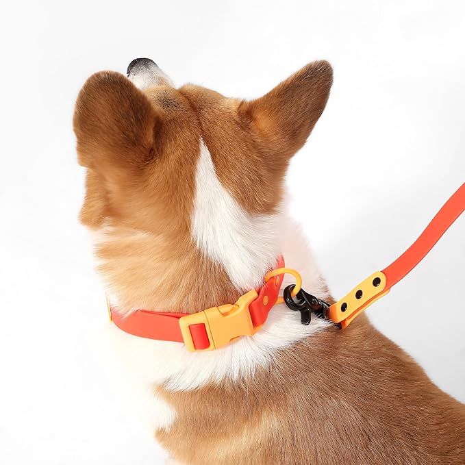 WLK1005A-5SET Luna Medium 8FT Adjustable 6-in-1 Waterproof Hands-Free Leash and Collar with LED Flashlight, Bag Dispenser, and Poop Bag Holder, Aperol