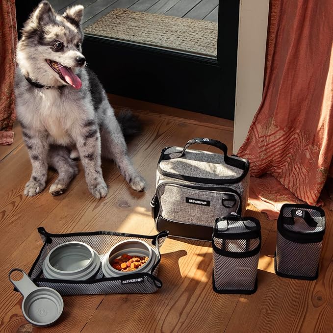 Small 7-Piece Bistro Box Dog Food Travel Kit, 6-Cup Kibble Storage, 2 Silicone Bowls, Mat & Scoop - Premium Portable Pet Food Kit for Weekends, Overnights, Daycare & Camping, Heather Grey