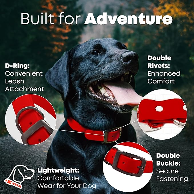 Regal Dog Products Small Red with Custom Engraved Reflective Dog Collar and Leash Set | Waterproof Dog Collar with D Ring | Center Ring & 5'ft Leash | Matching Dog Collar and Leash for Dogs