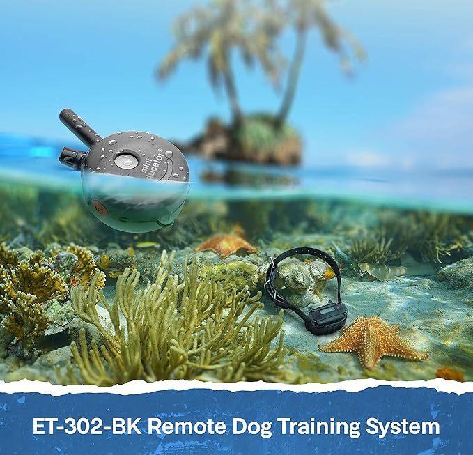 Educator ET-302 Black Mini E Collar for Dog Training with Remote - 1/2 Mile Range, Waterproof, 100 Blunt Stimulation Levels, Tone or Vibration Mode, Night Light for Small, Medium & Large Dogs (2 Dogs)