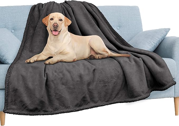 PAVILIA Waterproof Blanket Throw Dark Grey Queen,Waterproof Pet Blanket for Dog Couch Protection,Leak Proof Sherpa Fleece Blanket for Bed Sofa,Liquid Resistant Large Plush Throw 90x90,Charcoal