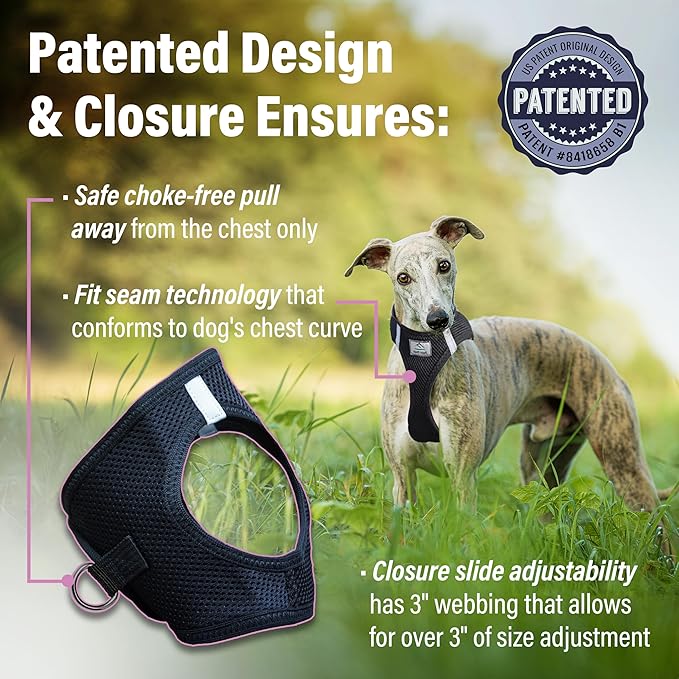 Doggie Design Dog Harness - No Choke Dog Harness, Dog Vest, Mesh Polyester, Pet Harness, Simple Step in and Go Design, Harness for Dog - Black, 2XL