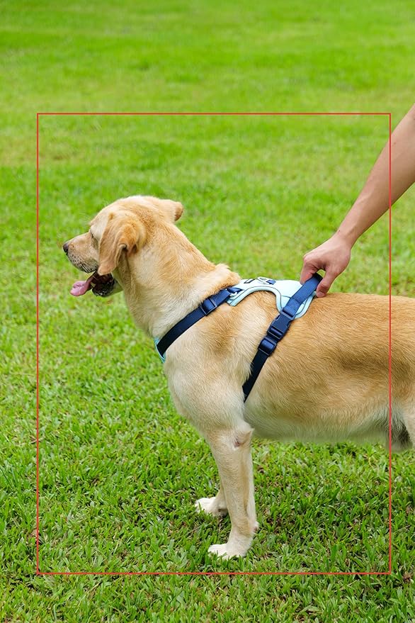 No Pull Dog Harness Leash and Collar Set, Soft Adjustable Dogs Vest Reflective and Comfortable Handle Blue Small