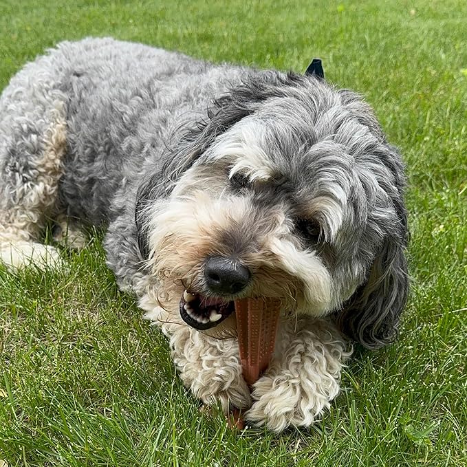 SPOT Bam-Bones Plus T Bone – Bamboo Fiber & Nylon Dog Chew Toy for Moderate to Aggressive Chewers, Durable Long Lasting & Non-Splintering, Beef Flavor Toy for Adult Dogs & Puppies Under 60 lbs, 6 in