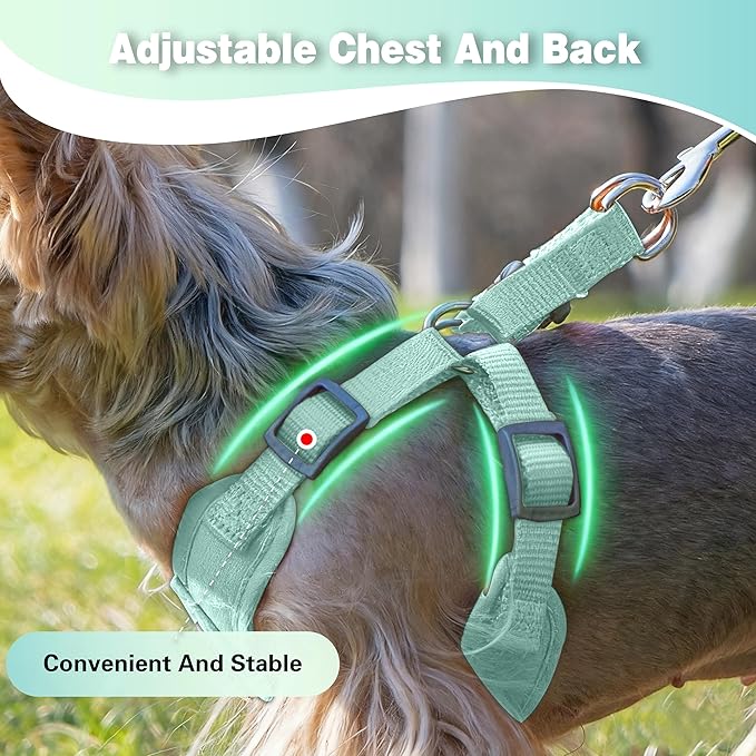 Dog Harness with Leash Set, Puppy Soft Vest No Choke No Pull, Adjustable Neck and Chest, Lightweight Harness and Anti-Twist Pet Leash Combo for Small to Medium Dogs (Green, M-Medium)