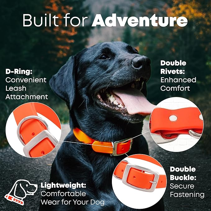 Regal Dog Products Large Orange with Custom Engraved Reflective Dog Collar and Leash Set | Waterproof Dog Collar with D Ring | Center Ring & 5'ft Leash | Matching Dog Collar and Leash for Dogs