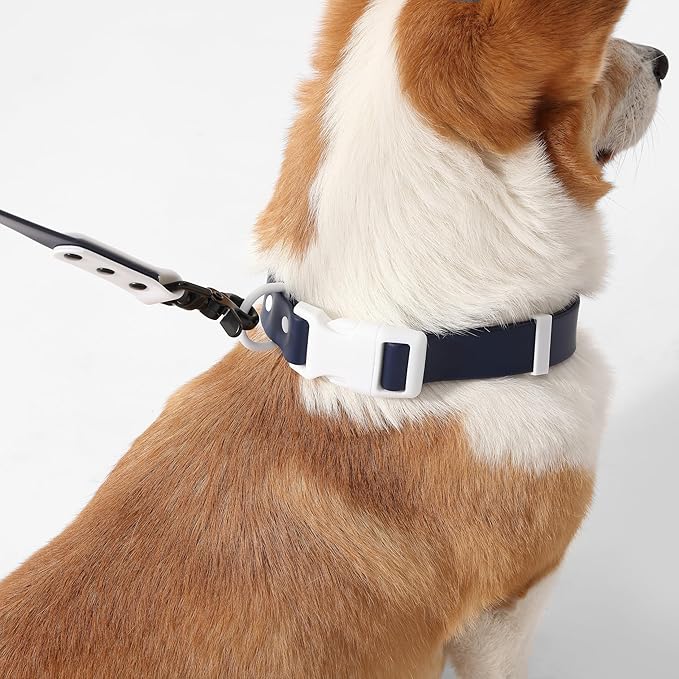 WLK1005J-5SET Luna Medium 8FT Adjustable 6-in-1 Waterproof Hands-Free Leash and Collar with LED Flashlight, Bag Dispenser, and Poop Bag Holder, Highball