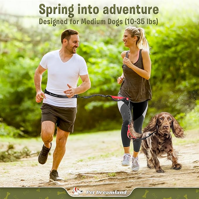 Exquisite Hands-Free Leash for Medium Dogs: Ultimate Comfort & Freedom for Running, Walking, Hiking. Premium Quality, Durable & Versatile Waist Dog Leash Belt. Your Dog Will Love It