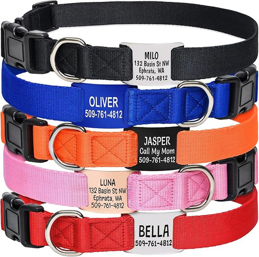 GoTags Dog Collar with Personalized Nameplate, Adjustable Dog Collar with Custom Engraved Slide On Pet ID Tag in Stainless Steel, Silent, No Noise Dog Tag Small to Large Unique Colors
