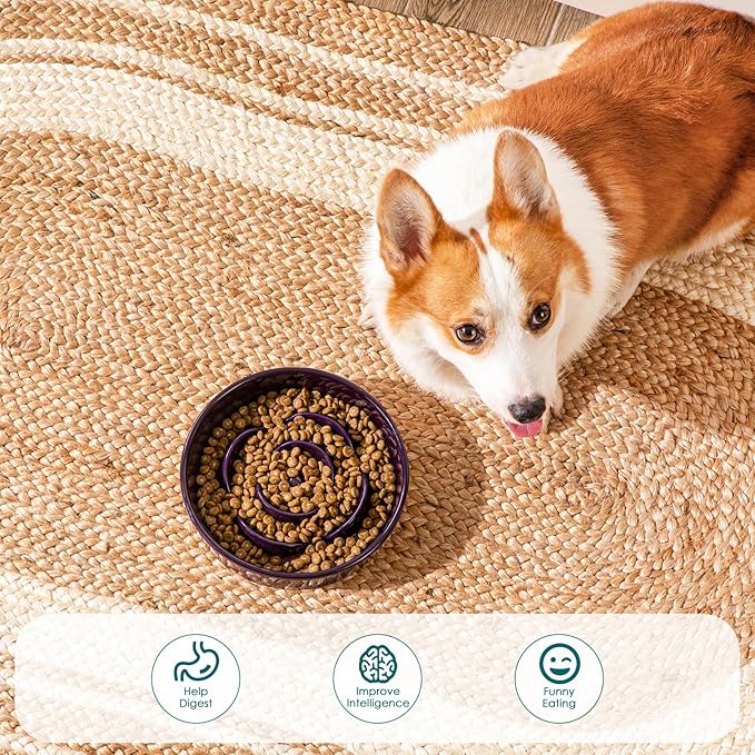 vancasso Slow Feeder Dog Bowl, 1.5 Cups Ceramic Slow Feeder for Medium Breed, Puzzle Maze Food Dog Bowl for Fast Eater, Dark Purple