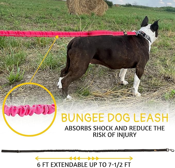 ADITYNA Tactical Bungee Dog Leash 6ft-7.5ft - Shock Absorbing Lead with 2 Padded Handles, Metal Clasp, Car Seatbelt - Heavy Duty No Pull for Medium, Large & XL Breeds