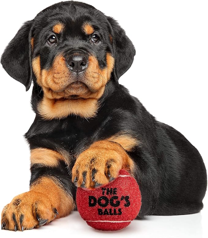 The Dog's Balls 6-Pack Red Dog Toy, Non-Toxic Pet Tennis Balls for Training, Play, Exercise & Fetch, Robust Retrieval Toys for All Breed Sizes