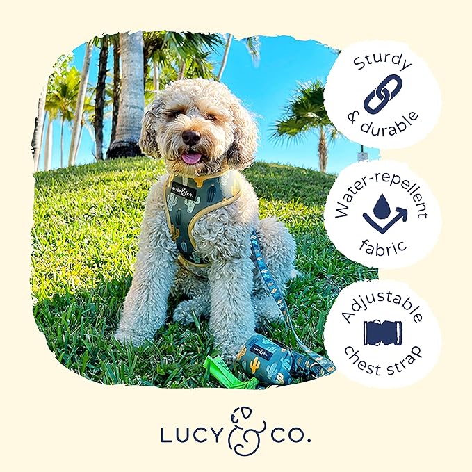 Lucy & Co. Looking Sharp, Cute Reversible Dog Harness Walking Halter - Best Designer Pet Harnesses for Medium Dogs - Padded Adjustable Vest for Easy Walking (X-Small)