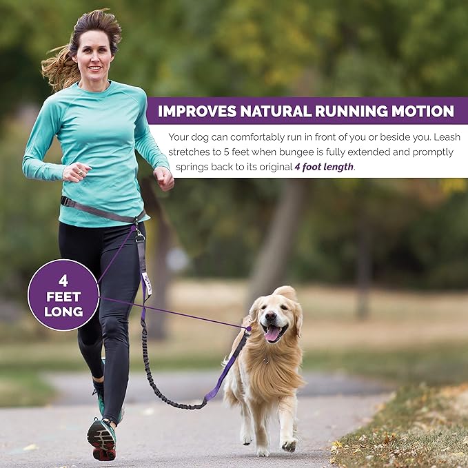 Tuff Mutt Hands-Free Waist Leash for Dog Walking, Running and Hiking, Adjustable Belt with Double Handle, Reflective Bungee Design for Large & Medium Dogs