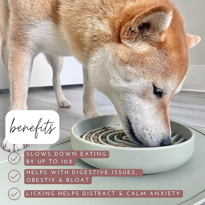 Should We Go? Slow Feeder for Dogs & Puppies, The Slowdown Bowl Silicone Slow Eating, Modern Lick Mat Design, Reduces Gulping, Fits 2 Cups, 7.5” Across x 1.5” Tall, Mealtime Challenge, Medium-Ocean