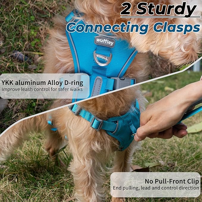 Escape Proof Dog Harness and Leash Set, Lightweight Dog Harness with Lift and Assist Handle, No Pull Reflective Pet Vest for Small Medium Dogs, Ideal for Puppy Walking and Training (Blue, S)