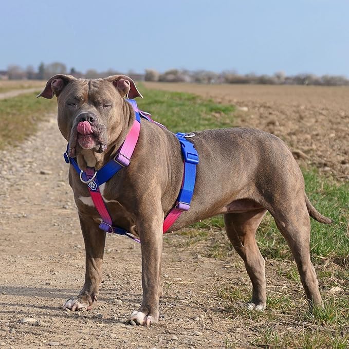 Spark Paws No Pull Dog Harness for Large Dogs, Heavy Duty Dog Harness for Big Strong Breeds, Adjustable, Y Shaped Padded Halter Design with Front Clip - Snow Cone - L