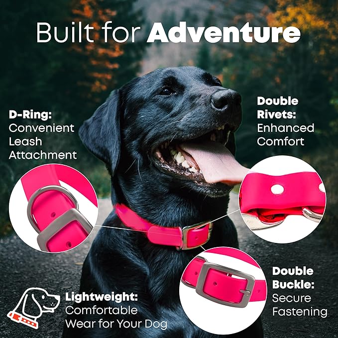 Regal Dog Products Small Pink with Custom Engraved Reflective Dog Collar and Leash Set | Waterproof Dog Collar with D Ring | Center Ring & 5'ft Leash | Matching Dog Collar and Leash for Dogs