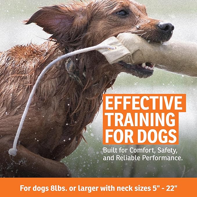 SportDOG Brand WetlandHunter 1825X Camouflage Remote Trainer - Rechargeable Dog Training Collar with Static, Vibrate, and Tone - 1 Mile Range - SD-1825XCAMO