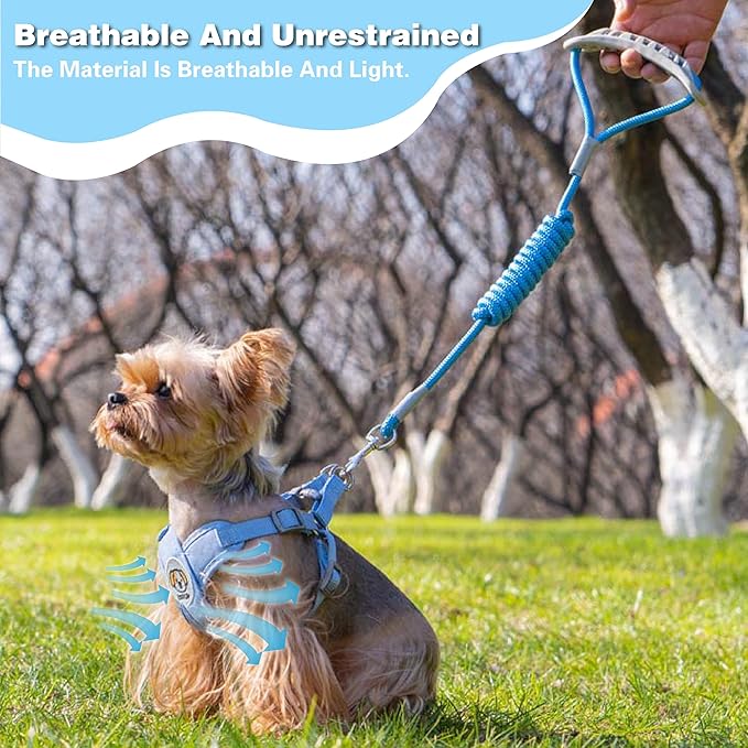 Dog Harness with Leash Set, Puppy Soft Vest No Choke No Pull, Adjustable Neck and Chest, Lightweight Harness and Anti-Twist Pet Leash Combo for Small to Medium Dogs (Blue, S-Small)
