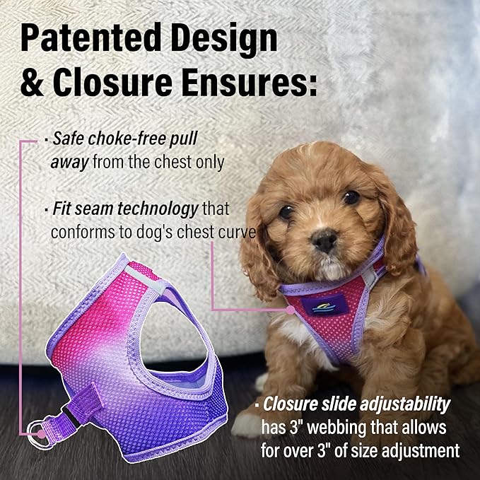 Doggie Design Dog Harness - No Choke Dog Harness, Dog Vest, Mesh Polyester, Pet Harness, Simple Step in and Go Design, Harness for Dog - Raspberry Sundae, XXS