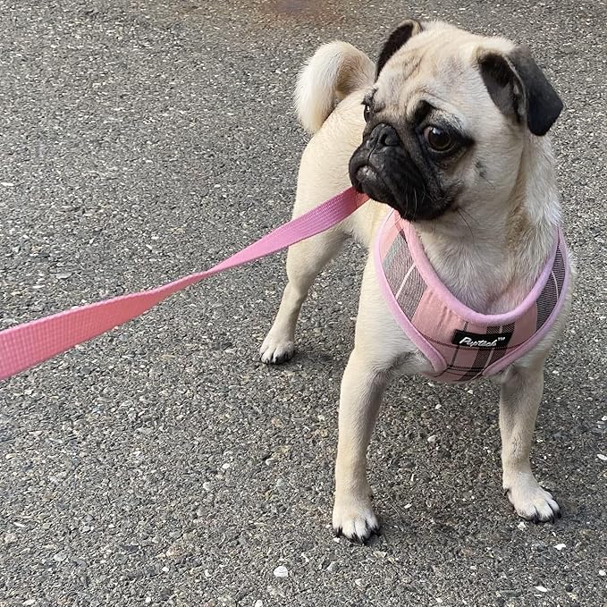 PUPTECK Soft Mesh Dog Harness and Leash Set Pet Puppy Cat Comfort Padded Vest No Pull Harnesses, Light Pink, S