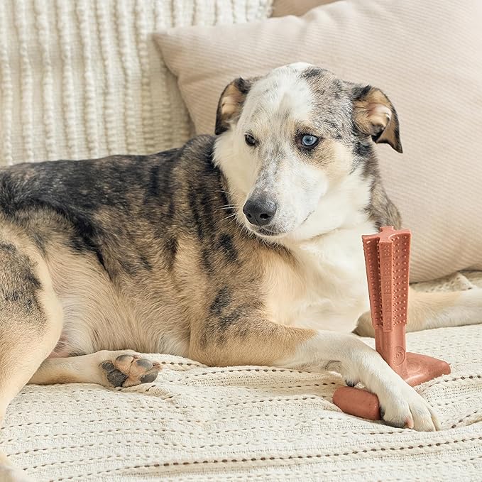 SPOT Bam-Bones Plus T Bone - Bamboo Fiber & Nylon Dog Chew Toy for Moderate to Aggressive Chewers, Non-Splintering, Long-Lasting, 7in Beef Flavor, for Adult Dogs & Teething Puppies Under 90lbs