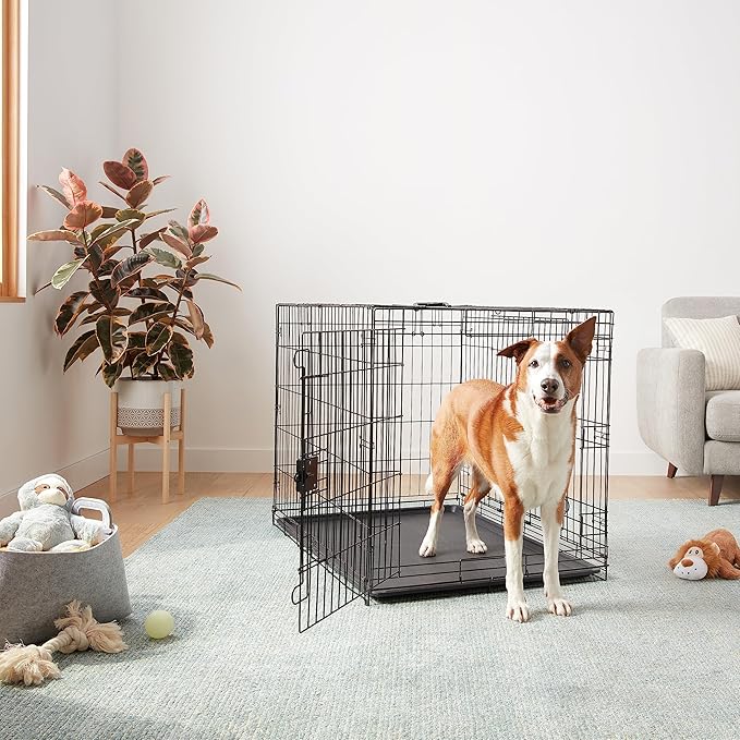 Amazon Basics - Durable,Foldable Metal Wire Dog Crate with Tray, Double Door, 42 x 28 x 30 in, Black