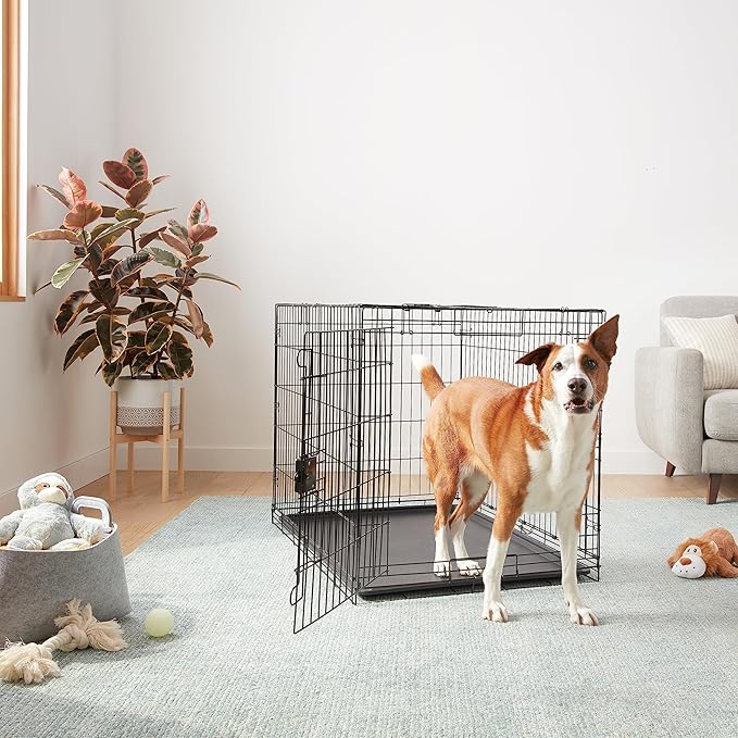 Amazon Basics - Durable, Foldable Metal Wire Dog Crate with Tray, Single Door, 42 x 28 x 30 in, Black