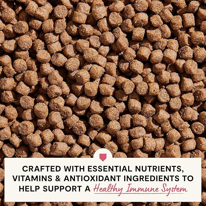 Open Farm, Skin & Coat Health Dog Food, Veterinarian Formulated Kibble with Salmon Oil and Vitamin E to Support Healthy Skin & A Shiny Coat, Wild-Caught Salmon & Oatmeal Recipe, 4lb Bag