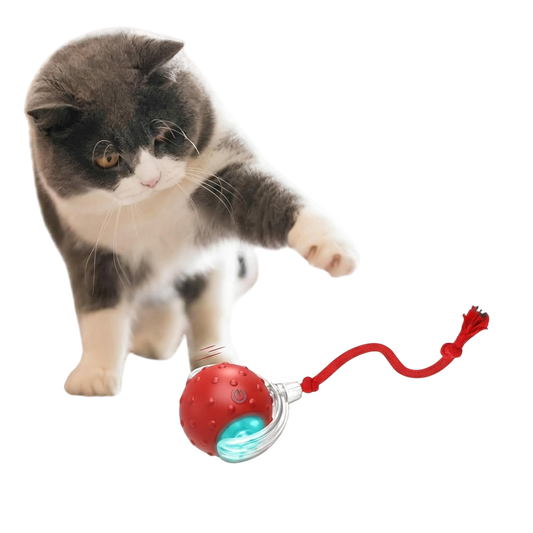 Interactive Cat Toys Ball for Indoor Cats Fast Rolling on Carpet, Chirping & Motion Activate Cat Toys (Red)