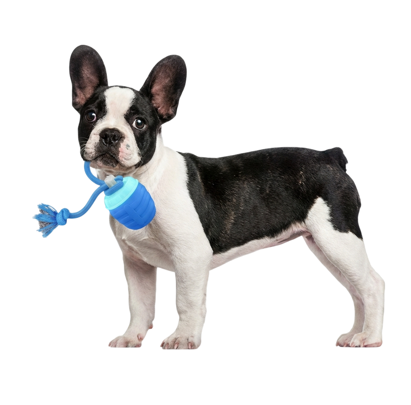 Interactive Dog Toys - 2026 Upgraded Motion Activated Balls for Medium/Large Dogs, Automatic Moving Dogs Toy Wicked Ball for Boredom, Interactive Dog Ball to Keep Them Busy(Blue)